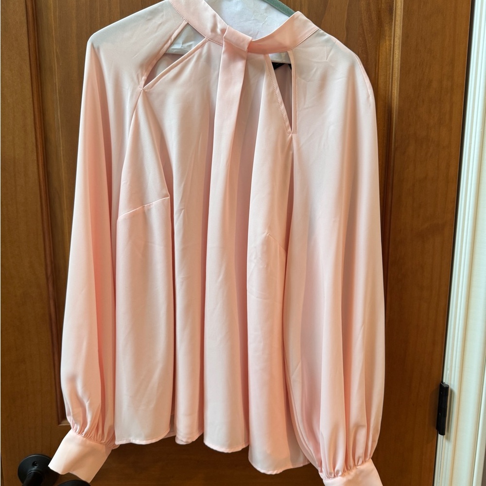NWT Elegant Pink Women's Blouse Size 16